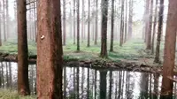 扬州宝应湖湿地公园主要景点游记
