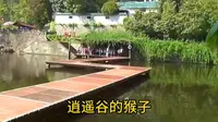 逍遥谷原名猕猴谷，是武当山风景绝佳之地，金猴跳涧就在此