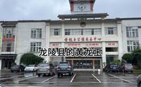龙陵县黄龙玉