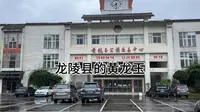 龙陵县黄龙玉