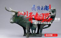 美丽云南（第二季）| 古滇王国：用青铜与世界对话——美物：江川青铜器