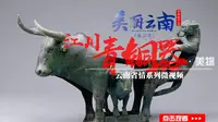 美丽云南（第二季）| 古滇王国：用青铜与世界对话——美物：江川青铜器