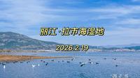 2026.2.19 丽江｜拉市海湿地（上）