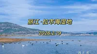 2026.2.19 丽江｜拉市海湿地（上）