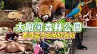 普洱太阳河森林公园怎么玩