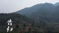 第二十四集【寻一山一味·邦东乡·昔归】