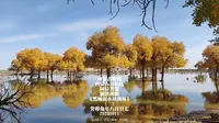 【原创】内蒙古映像 内蒙古自治区 阿拉善盟 额济纳旗【黑城弱水胡杨林】(二)