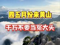 四五月份来黄山，千万别当冤大头了。#黄山#黄山旅游#黄山旅游攻略