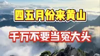 四五月份来黄山，千万别当冤大头了。#黄山#黄山旅游#黄山旅游攻略