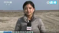 王冰冰带你了解 吉林镇赉 莫莫格湿地 白鹤 （目前找到的应该是最早的新闻）