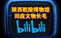 陕西乾陵博物馆回应文物长毛