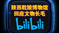 陕西乾陵博物馆回应文物长毛