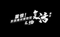 震惊！黔西南州博物馆文物复活了！5.18博物馆日，如果你有魔法，你最想“复活”哪个文物？
