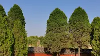 河南洛阳龙马负图寺，易经的源头。龙马负图，神龟载书