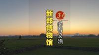 新郑博物馆看起来不起眼，也不出名，但有意思的文物还是不少呢！