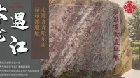 《云遇龙江》第十七期：昂昂溪遗址博物馆——黑龙江省群众艺术馆