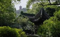 【惠山古镇】乾隆钟爱的江南名园｜隐藏在惠山古镇的“世外桃源”｜古典园林寄畅园