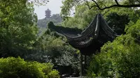 【惠山古镇】乾隆钟爱的江南名园｜隐藏在惠山古镇的“世外桃源”｜古典园林寄畅园