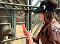 鄂尔多斯野生动物园隐藏玩法，你知道吗