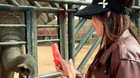 鄂尔多斯野生动物园隐藏玩法，你知道吗