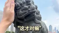网友：狮子林桥遇上了最懂它的人~||游客打卡天津狮子林桥，跟石狮子“对话”玩起来了～