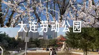 大连劳动公园｜花季未到，但人少好逛太香了✨