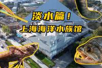 一家展示世界流域的水族馆！上海海洋水族馆淡水篇！