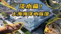 一家展示世界流域的水族馆！上海海洋水族馆淡水篇！
