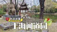 上海闻道园，慢慢游半天