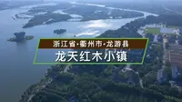浙江省衢州市龙游县-红木小镇
