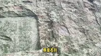 上海佘山国家森林公园旅游攻略