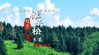 内蒙古第二届短视频大赛 参赛作品展映——樟子松的故乡：红花尔基的绿色崛起