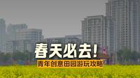 青年创意田园油菜花进入最佳赏味期！