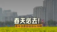 青年创意田园油菜花进入最佳赏味期！