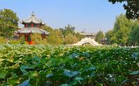 中国十大名园 “保定古莲花池”，楼阁碧水交织如画，尽托山水间