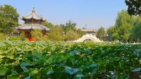 中国十大名园 “保定古莲花池”，楼阁碧水交织如画，尽托山水间