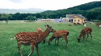 2020.7.8｜森工平山皇家鹿苑｜Vlog