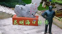 昆明海口林场 青山常在永续利用秋日浪漫海口林场红枫叶春城机长昆明的秋天，藏着一份独特的浪漫，这份浪漫就在海口林场森林公园这里是昆明滇池西南面的天然生态保护屏障