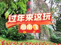 过年去哪玩？ 来梅县区5A级雁南飞茶田风景区，感受大自然的美景风光！