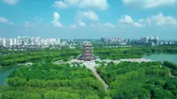 江苏邳州市沙沟湖水杉公园美丽景色