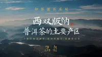 茶知识|西双版纳勐海，普洱茶的主要产地之一