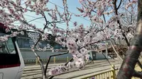 2026.3.21 香山公园散步
