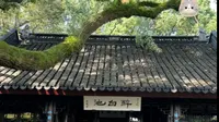 魔都•松江醉白池掠影～醉白池是上海4A级景点，也是上海五大园林中最古老的园林