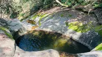 九龙潭（秦岭）