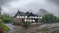 雨中即景~汾河老龙头·窦大夫祠