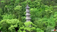 黄岩近郊一个免费的4A景区，黄岩九峰公园，三塔六溪九峰十二景