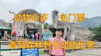 介绍一个免费看动物的好地方，青岛森林野生动物世界，内野生动物众多，还有惊险的玻璃天桥、迷人的魔法屋。