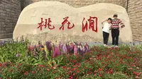 2026.4.1连云港桃花涧