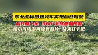 东北虎林园观光车实现自动驾驶，科技感十足 360°全域感知预警。哈尔滨旅游再添新名片 快来打卡吧。#哈尔滨 #东北虎林园 #自动驾驶