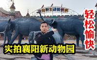 实拍襄阳新动物园，看动物轻松愉快，有些动物挺可爱的，儿子手差点被猴子抓了